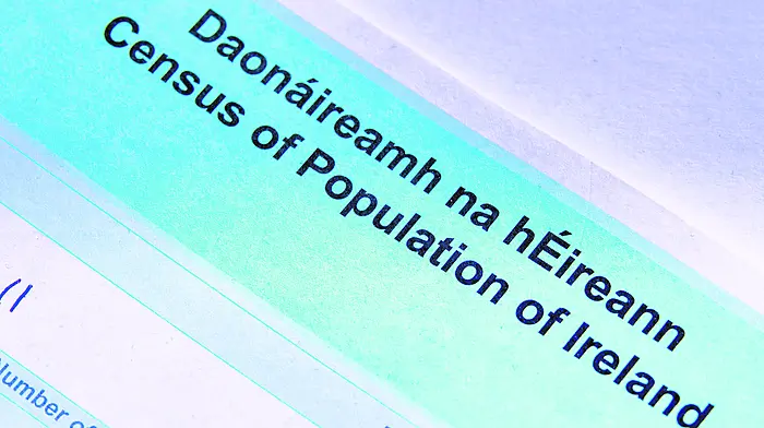 Census field worker was in fear after encounter with Garrylucas pensioner Image