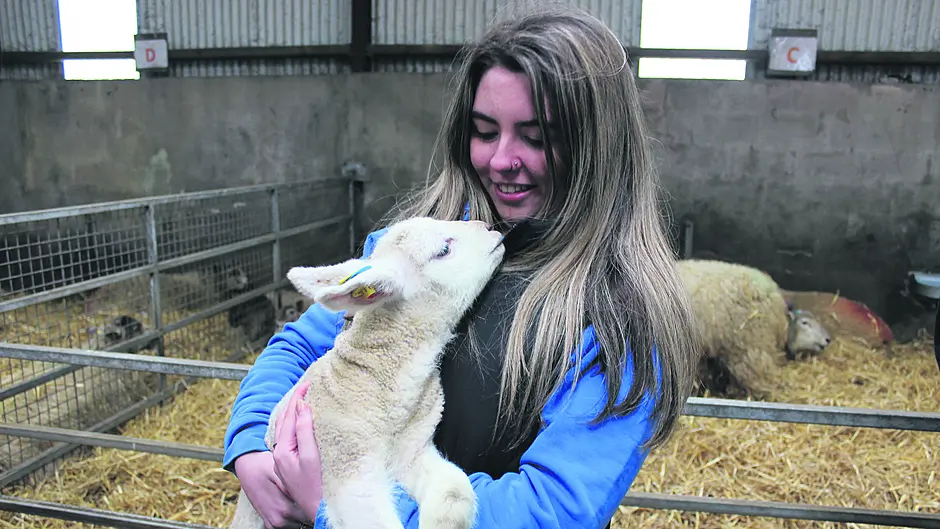 Ag Science students get a real  ‘hands-on’ taste of farming life Image