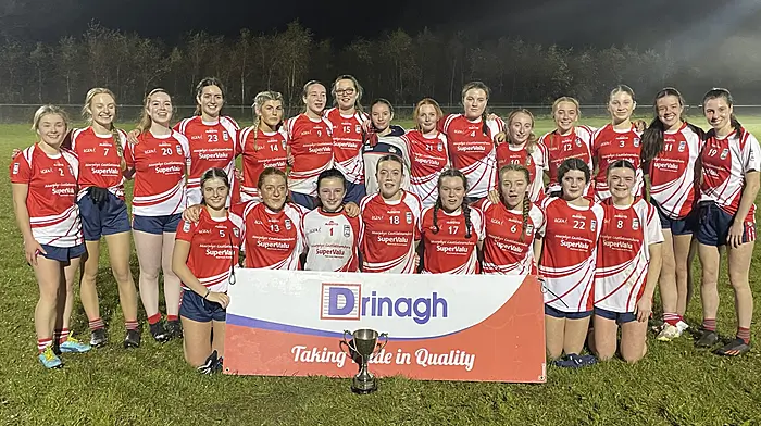 West Cork minor titles for Castlehaven, Kinsale and Beara Image