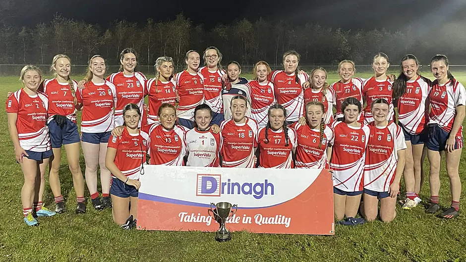 West Cork minor titles for Castlehaven, Kinsale and Beara Image