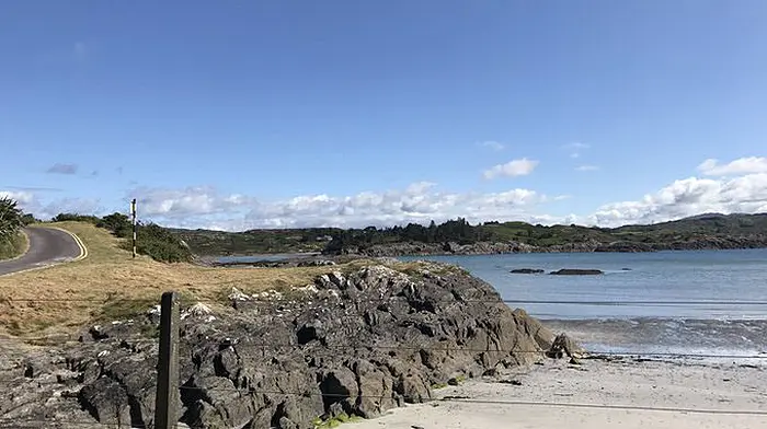 Councillors bemoan lack of bin at beach after rat infestation Image