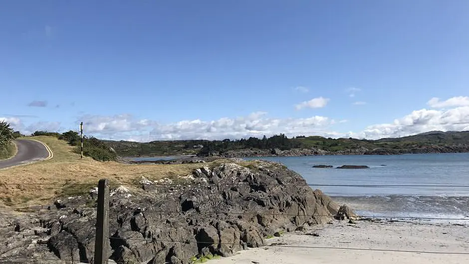 Councillors bemoan lack of bin at beach after rat infestation Image