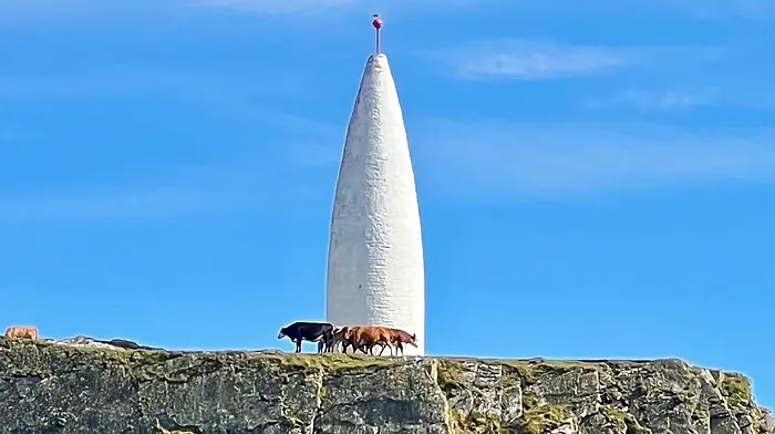 County Council rejects plan for new mast in Baltimore Image