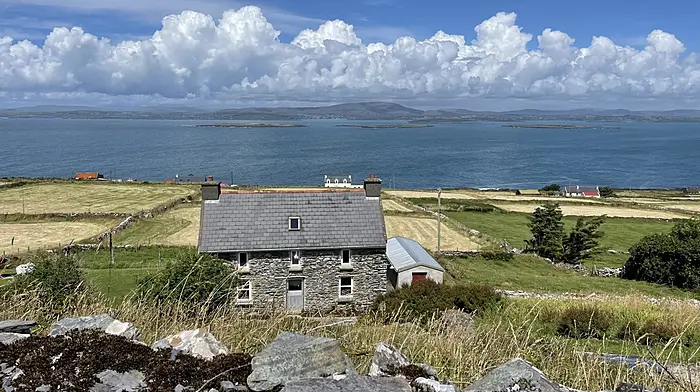 Reader’s Picture of the Week Image