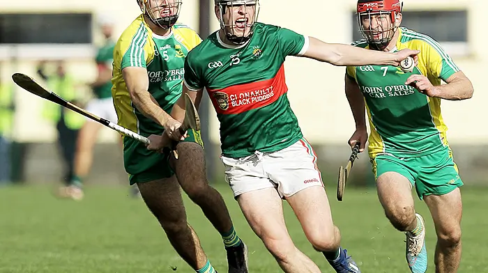 White brothers fire Clonakilty hurlers to league win Image