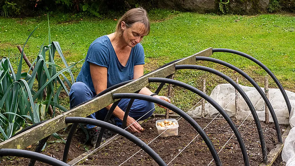 GARDENING: Grasp those sowing opportunities Image