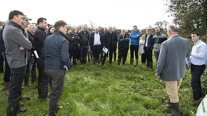 Farmers’ last ditch bid to sway Minister Image