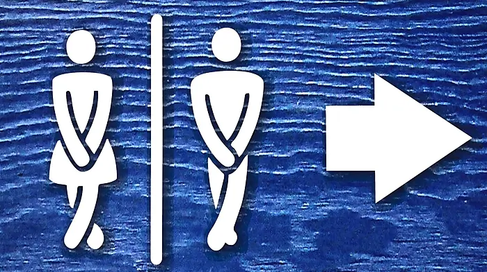 Long-awaited public toilets in Kinsale will be opened before busy Christmas period Image