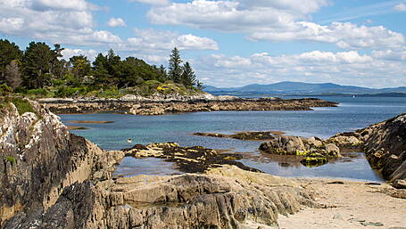 Group calling for laws to protect ocean life Image