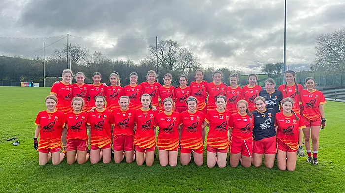 County final heartbreak for Tadhg MacCárthaigh Image