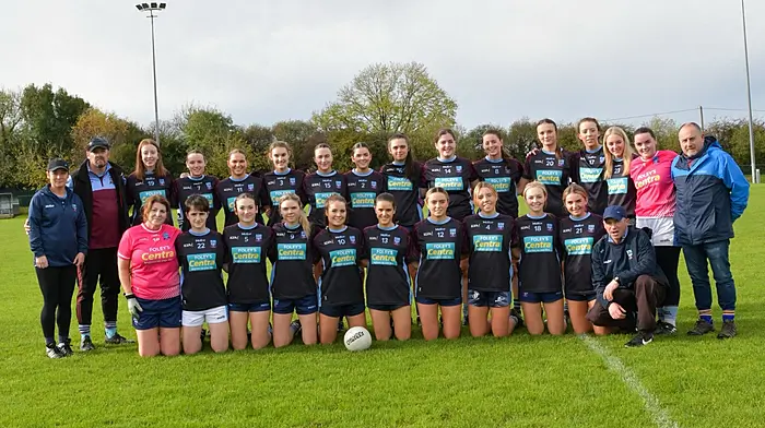 Ibane Ladies promoted to junior E grade after their final success Image