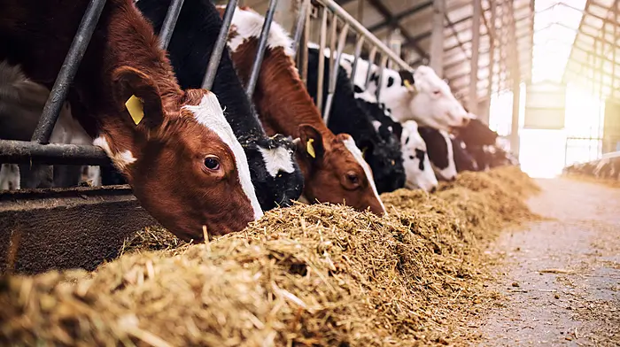 Around 8% of farmers dont have enough winter feed Image