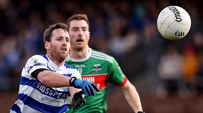 ‘It’s a dream to play in a Munster final and have a crack off Dingle,' says Castlehaven boss James McCarthy Image