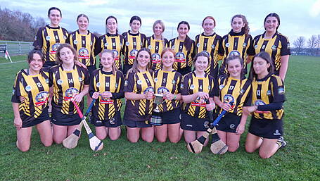 Kilbrittain-Timoleague crowned minor champs Image