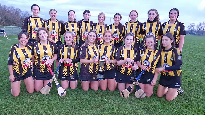 Kilbrittain-Timoleague crowned minor champs Image