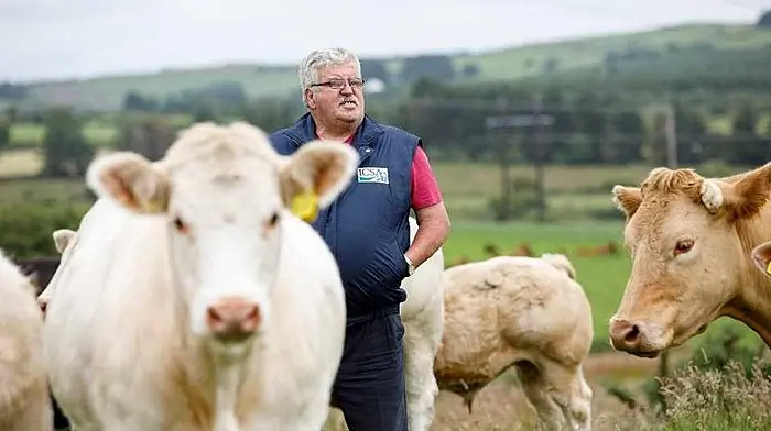 Kelleher says common sense prevailed in new EU emissions directive Image