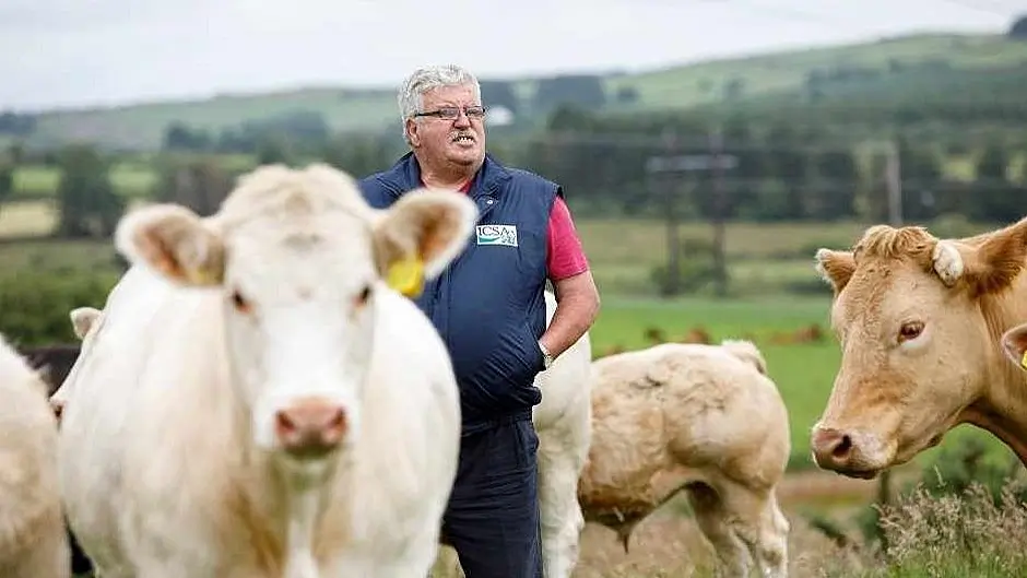 Kelleher says common sense prevailed in new EU emissions directive Image