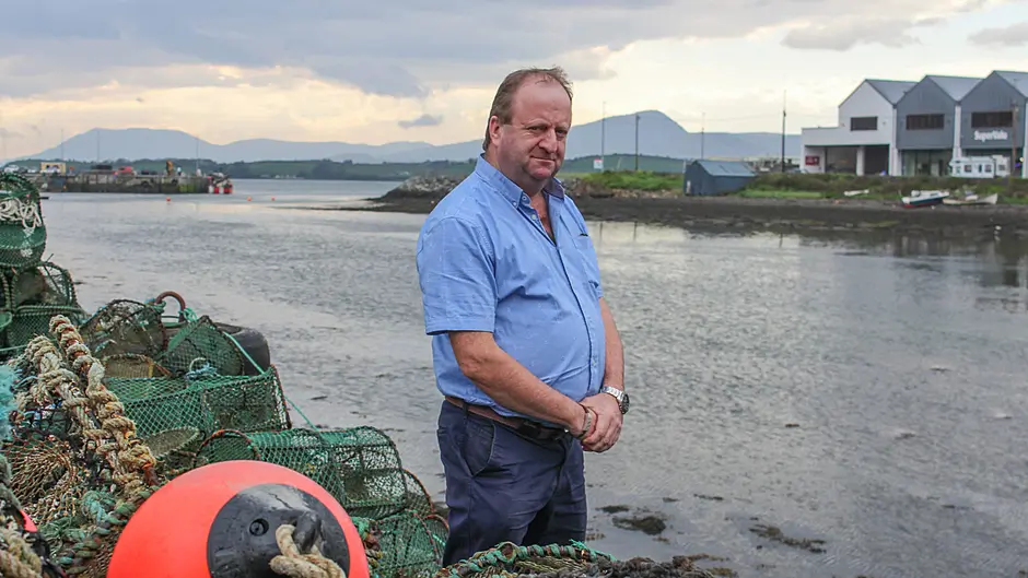 Collins reiterates compensation call amid cull fears  Image