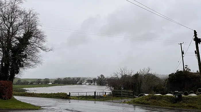 High winds predicted as Storm Gerrit makes landfall Image