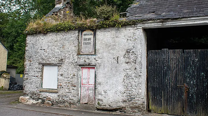 Department denies knowledge of backlog in derelict property grants Image