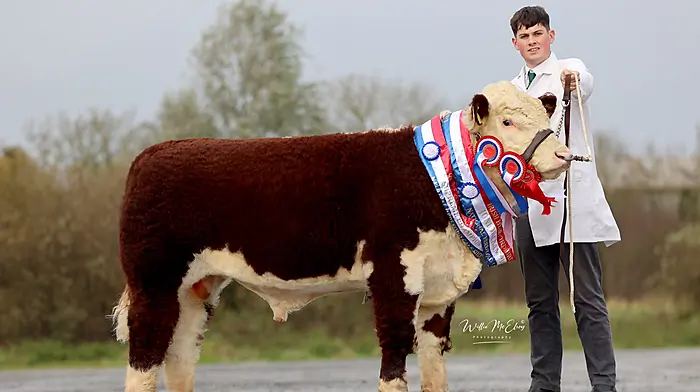 Percy pulls off double win for Moloneys Image