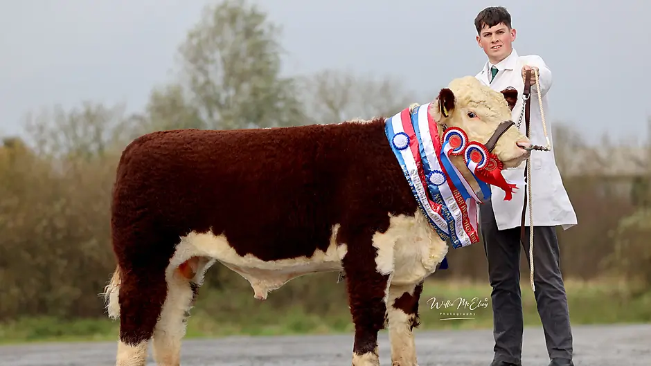 Percy pulls off double win for Moloneys Image