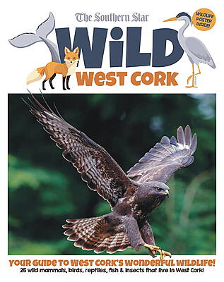 Wild West Cork 