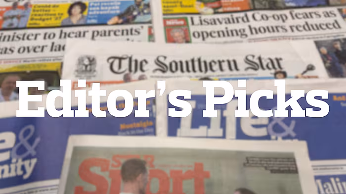 Editor's Picks