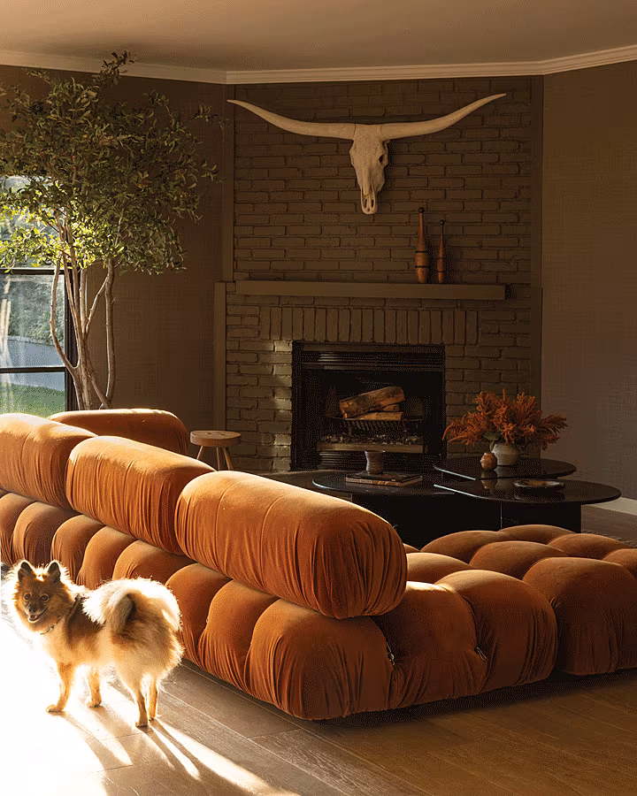 Y---FAMILY-ROOM