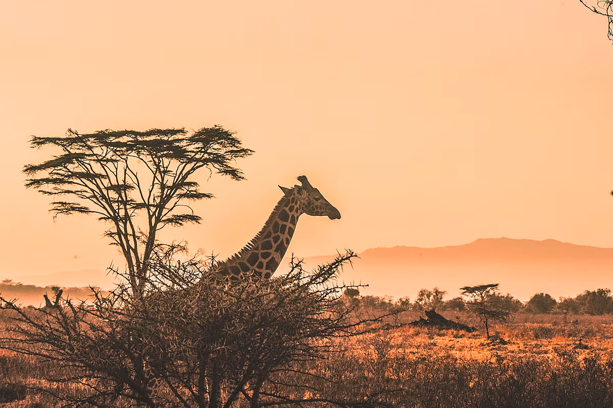 solo travel destinations 2024