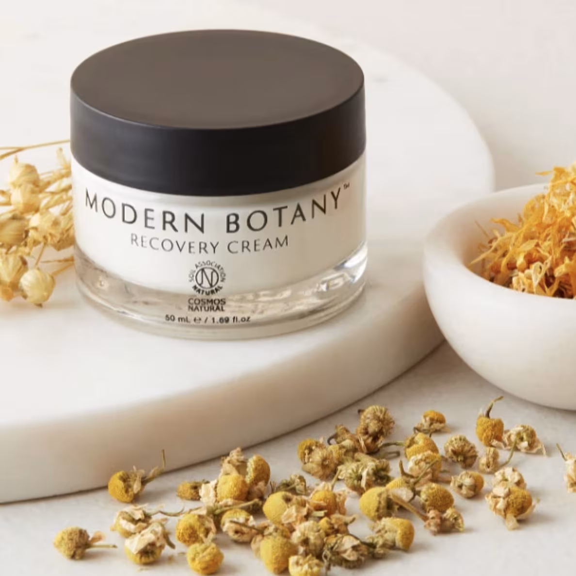 MODERN BOTANY 2