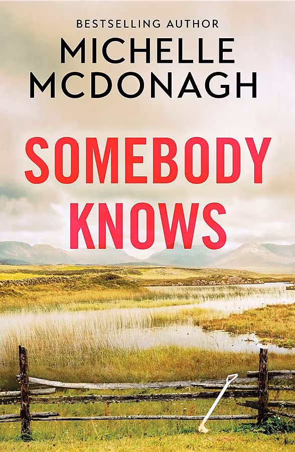 Books---SOMEBODY-KNOWS_front2somebody-knows_front2