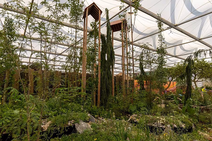 Chelsea---All-About-Plants-Size-of-Wales