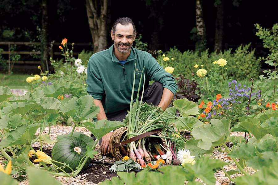 Garden---Alex-Lavarde-Ashford-Estate-Kitchen-Garden
