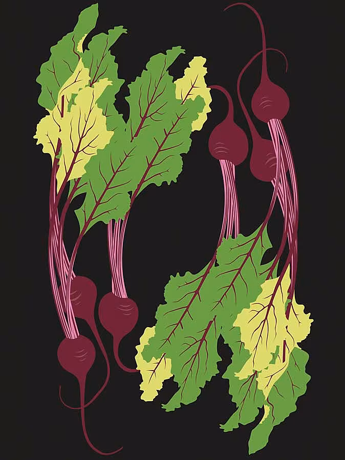 Garden---Beetroot-jpg