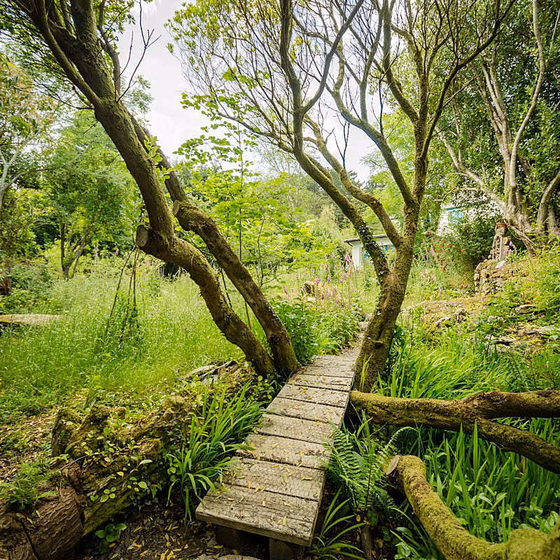 Bridge-through-the-Strawberry-Tree-1024x1024-1