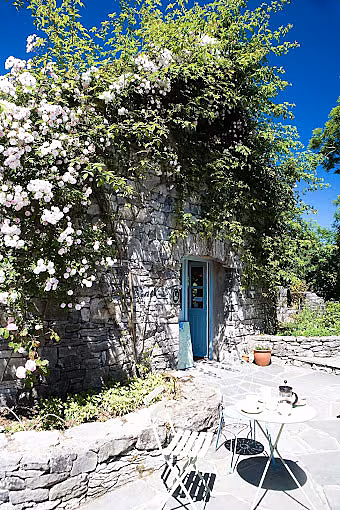 Roses.-The-Burren-Perfumery