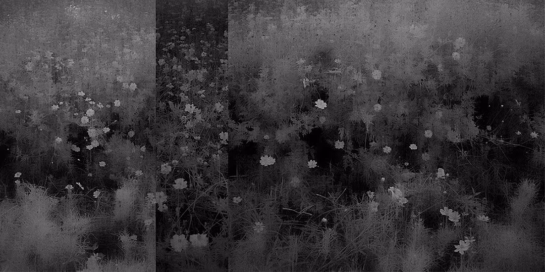 Bokeh-So-Fine-Art-Editions