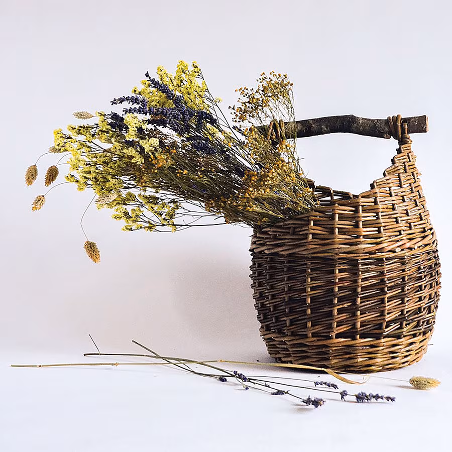 WILLOW-BASKET-SAILLE-BASKETS-HONEYPOT