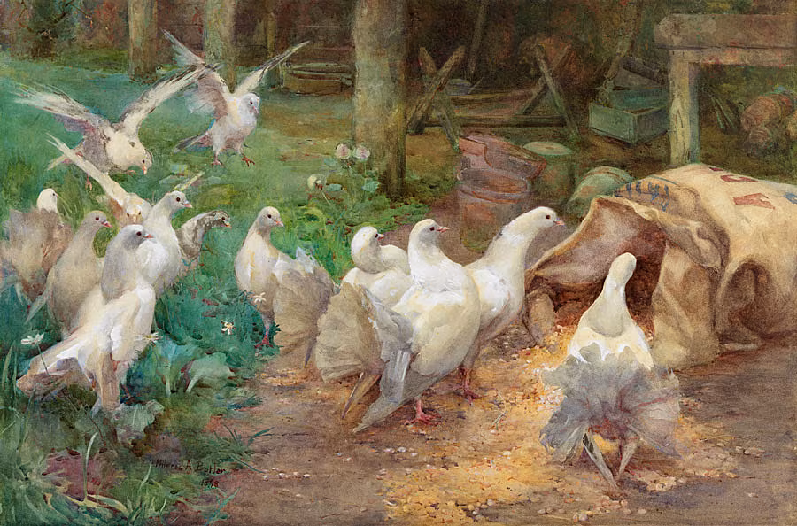 Mildred-Anne-Butler,-'A-Preliminary-Investigation,-1898'