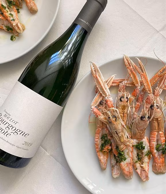 CROPPED-
