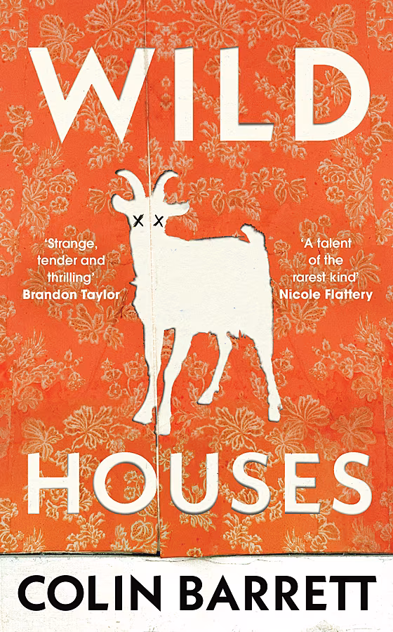 B---Wild-Houses-Colin-Barrett-Jacket-wild-houses-colin-barrett-jacket-