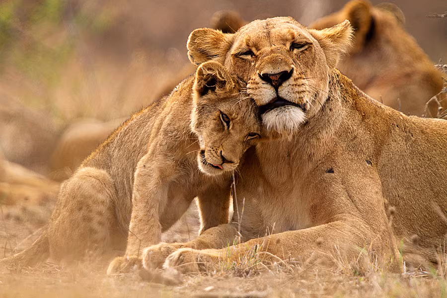 explore-south-africa