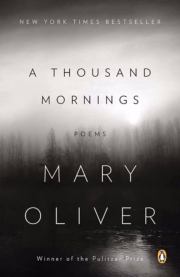 Moodboard---MARY-OLIVER-A-THOUSAND-MORNINGS