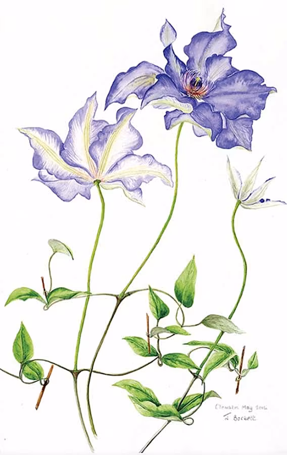 Art---watercolour
