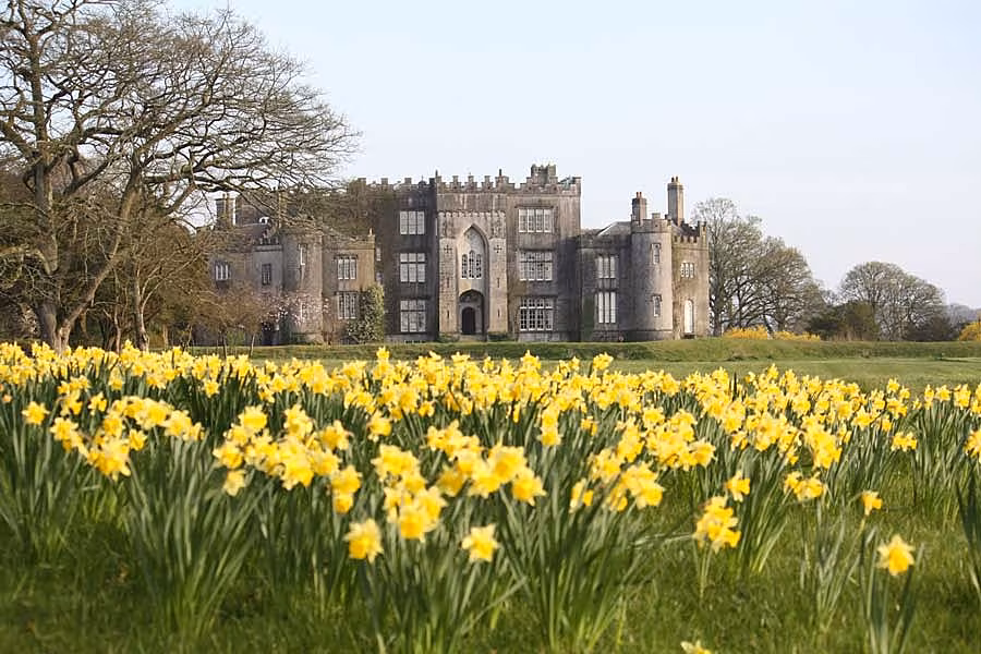 Birr-Castle-and-daffodils