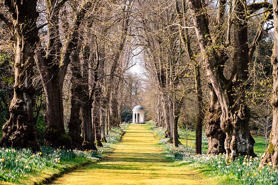 Blossom---Moss-Walk-at-Hillsborough-Castle-and-Gardens-(c)-Historic-Royal-Palaces