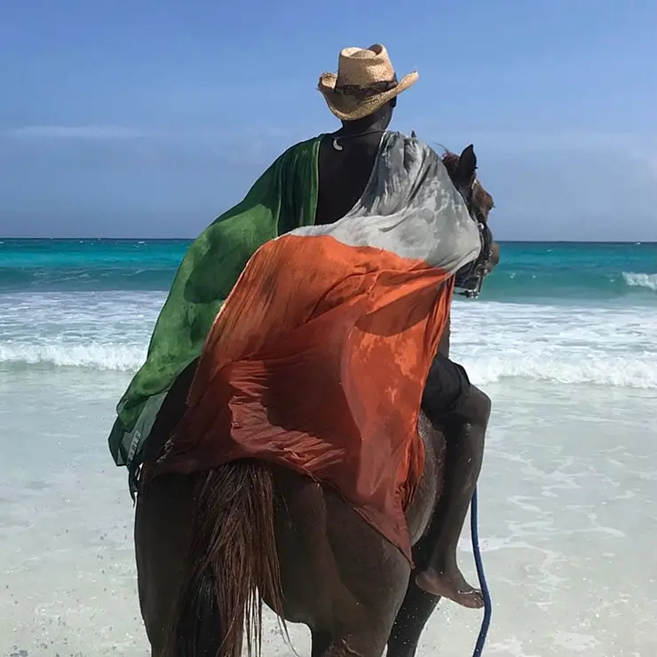 STABLE OF IRELAND