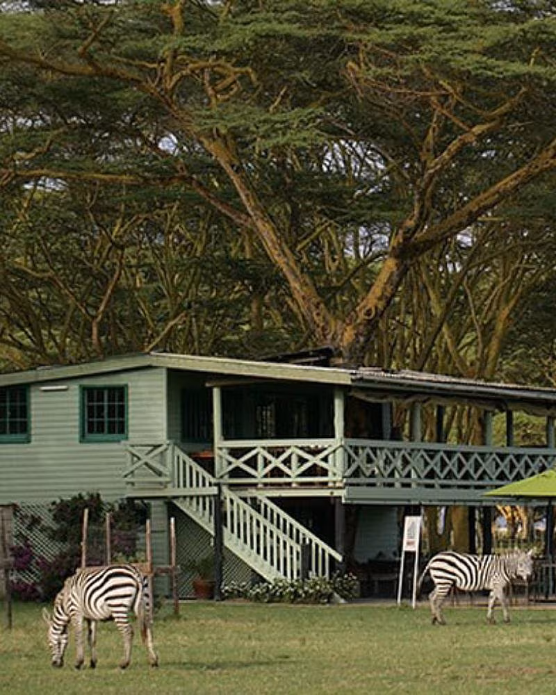 Sanctuary Farm Naivasha