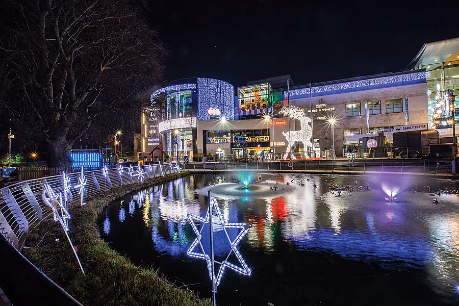 Dundrum---reindeer